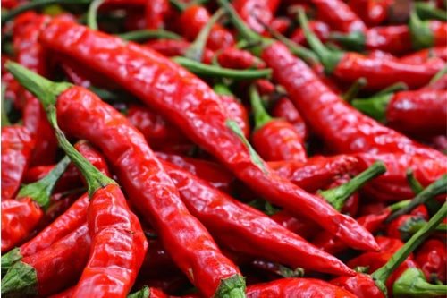 Lal Khadi Red Chilli